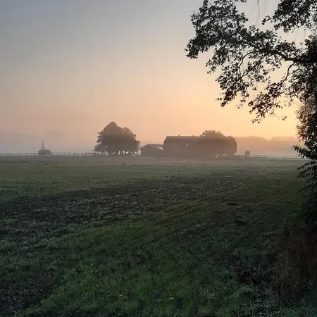 De Handwijzer *
